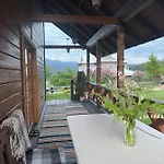 карпатська модринка 보로크타