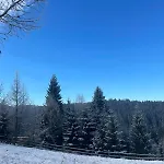 карпатська модринка