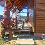 карпатська модринка 보로크타