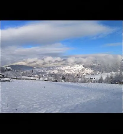 карпатська модринка *