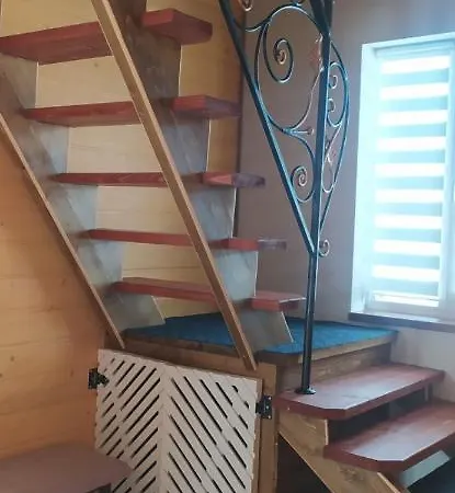 карпатська модринка Apartment