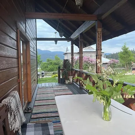 карпатська модринка Worochta