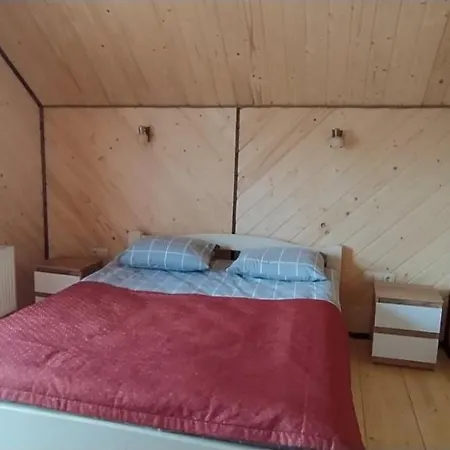 карпатська модринка Apartment *