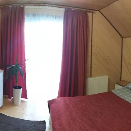 карпатська модринка Apartment Worochta