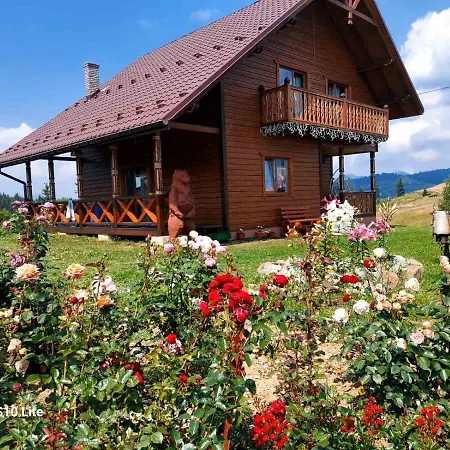 карпатська модринка Apartment Worochta