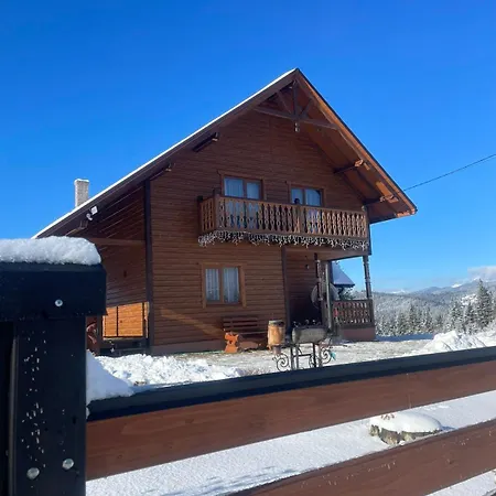 карпатська модринка Apartment