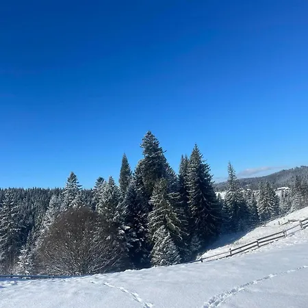 карпатська модринка ボロフタ