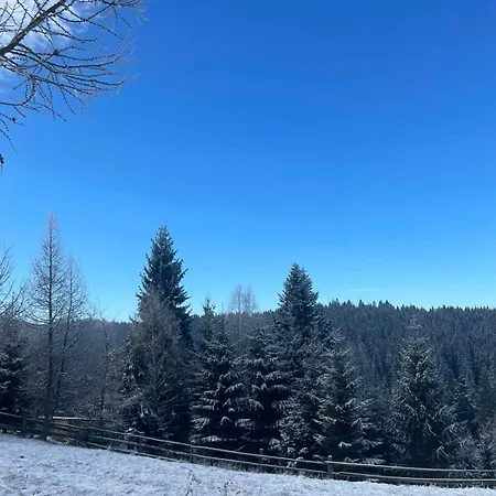 карпатська модринка