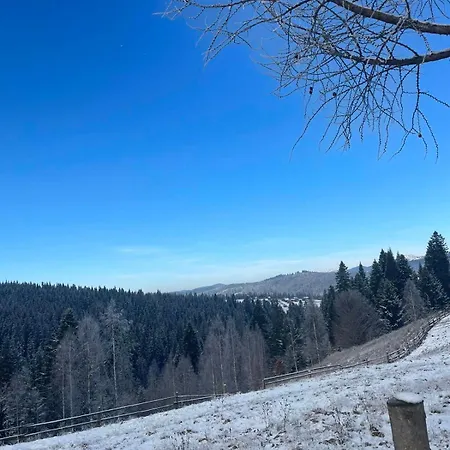 карпатська модринка Apartment Vorokhta