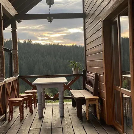 карпатська модринка Vorokhta