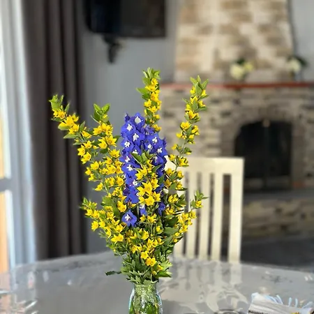 карпатська модринка