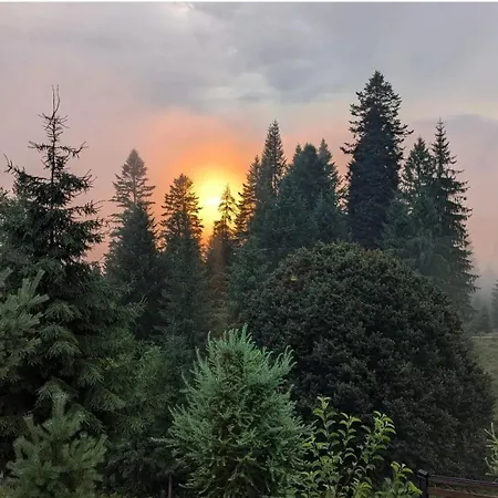 карпатська модринка Apartment *