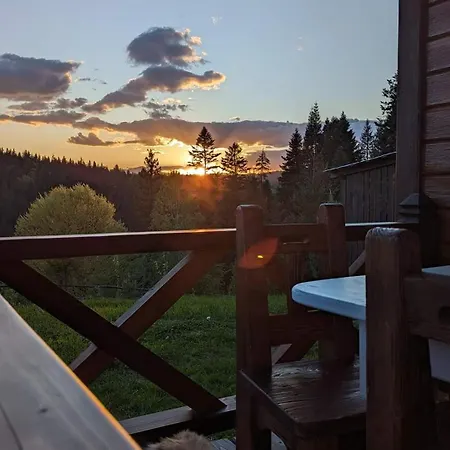 Apartment карпатська модринка Worochta
