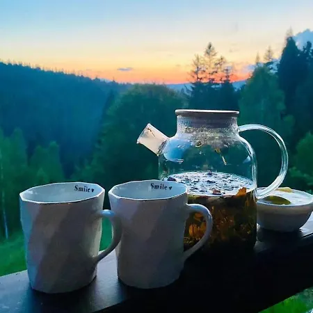 карпатська модринка ボロフタ
