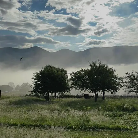 карпатська модринка * Vorokhta