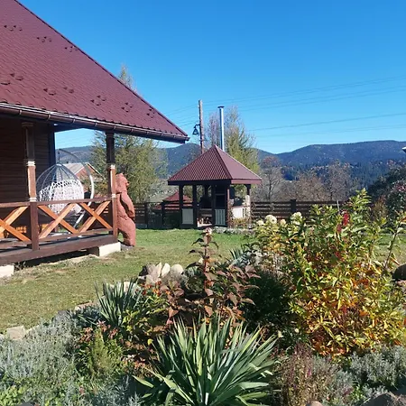 карпатська модринка Apartment