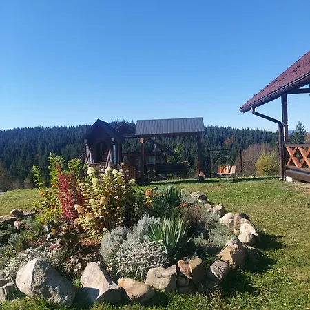 карпатська модринка Apartment Worochta