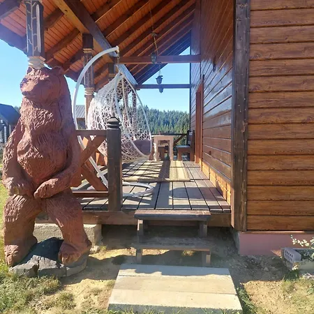 карпатська модринка Worochta