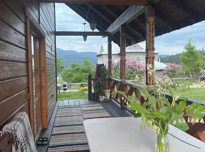 карпатська модринка Vorokhta