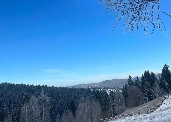 карпатська модринка Daire Vorokhta
