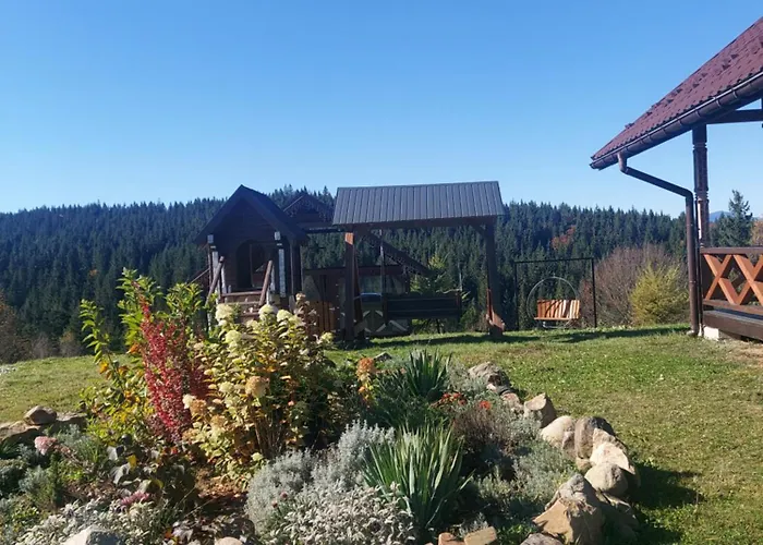 карпатська модринка Daire Vorokhta