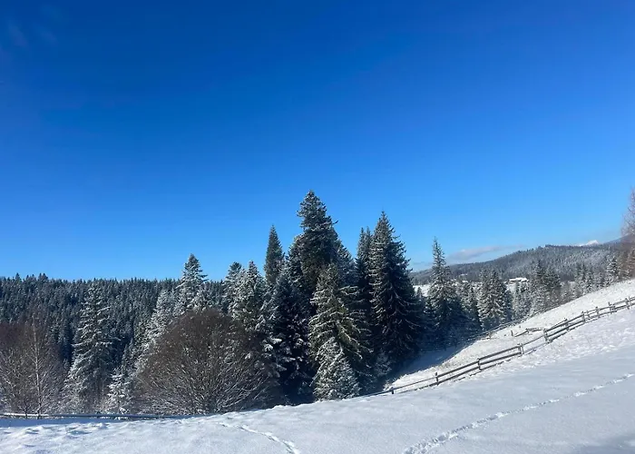карпатська модринка Vorokhta