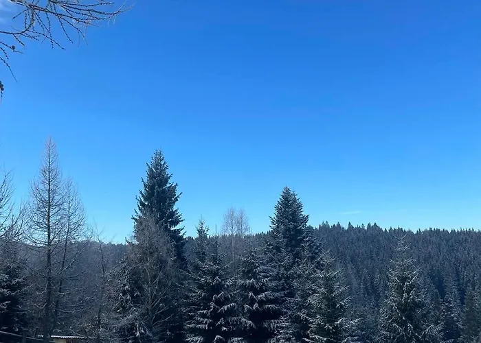 карпатська модринка